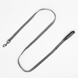 Комплект с мягкой шлейкой, размер XXS, поводок 150 х 1,5 см, ОГ 28-30 см,ОШ 24-26 см, жёлтый - Пижон фото 10