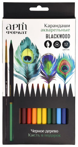 Набор акварельных карандашей АРТформат Blackwood 12 цв. трехгранные, деревянные, супермягк...