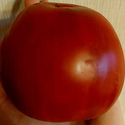 7012T Томат Глинтвейн 10шт