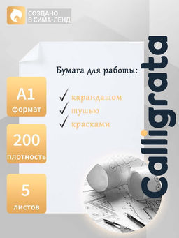 Набор ватманов чертёжных А1, 200 г/м², 5 листов