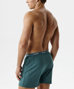 ATLANTIC RMX-001 Трусы боксеры - 1 шт. в упак. зеленый  фото 2