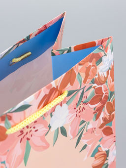 Цена за 2 шт. Пакет подарочный ламинированный Радость 18?22.3?10 см