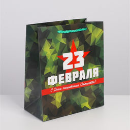 Цена за 2 шт. Пакет подарочный ламинированный, упаковка, «С 23 февраля», ML 23×27×11.5 см