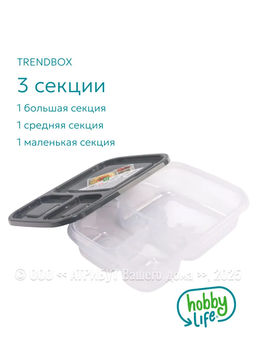 Контейнер пищевой TRENDBOX, серый, 3 секции, с крышкой, прямоугольный - Hobby Life фото 3