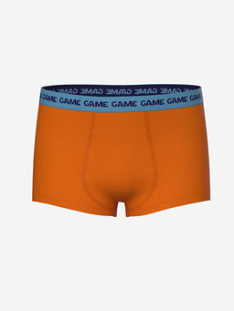 Bask?l? Erkek ?ocuk Boxer 3l? - Waikiki фото 2