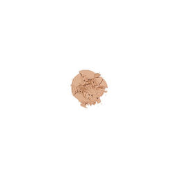 Пудра для лица компактная шелковая Natural Silky Compact Powder, 02 натуральный 5121402E