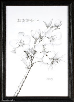 Фоторамка 15х21 / KSF1811-1 /уп10