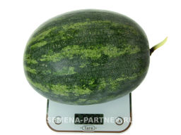 Арбуз Юнкер - Партнер фото 4