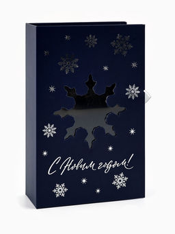 Коробка подарочная ‒ книга новогодняя «С новым годом», 20×12.5×5 см