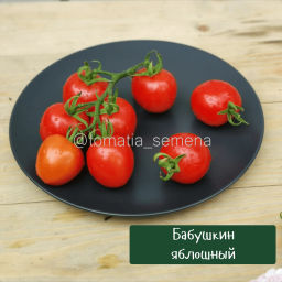 Бабушкин Яблошный