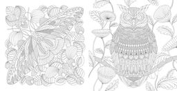 Чудеса природы. Золотая коллекция любимых иллюстраций (тв.обл.). Маротта М. - Колибри фото 2