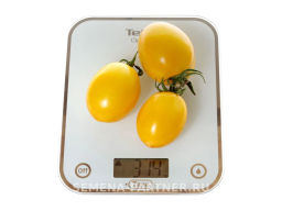 Томат Ренессанс - Партнер фото 5