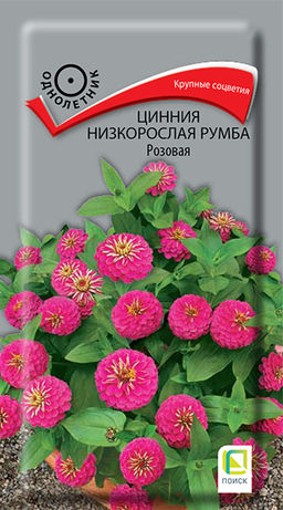 Цинния низкорослая Румба Розовая (ЦВ) (1) 0,1гр - Поиск фото 2