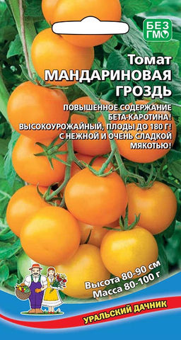 Томат МАНДАРИНОВАЯ ГРОЗДЬ