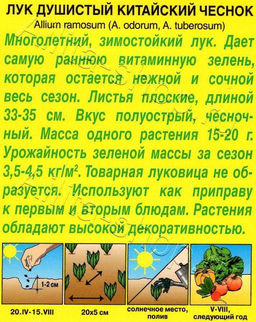 Лук душистый Китайский чеснок 0,3г (Аэлита)