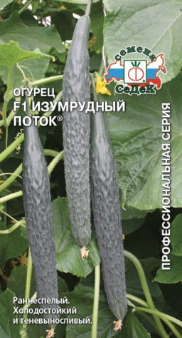 Китайский Изумрудный Поток F1 огурец 0,2гр (с)