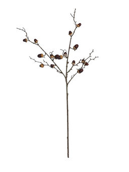 Цветы искусственные «Ветка жёлудей дуба», жёлудь 3.5 см, h=76 см, коричневые