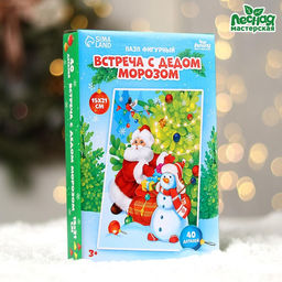 Пазл фигурный Встреча с Дедом Морозом