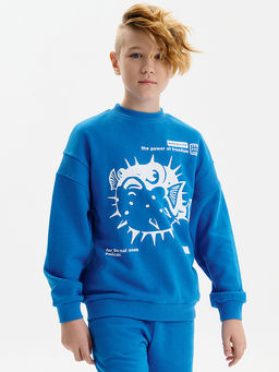 BFN3389/2 Толстовка для мальчиков