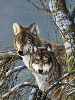 Вышивка крестиком 40х50см, Два волка