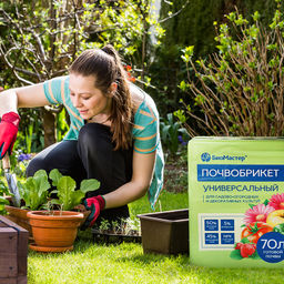 Почвобрикет "Универсальный" 70л