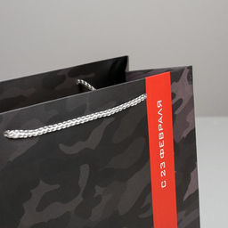 Цена за 2 шт. Пакет подарочный ламинированный, упаковка, «С 23 февраля», ML 27×23×11.5 см