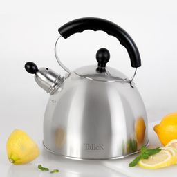 Чайник TalleR TR-11342 Норман 2,5 л