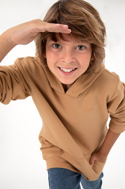 Базовый свитшот Camel для мальчика Неожиданная скидка в корзине