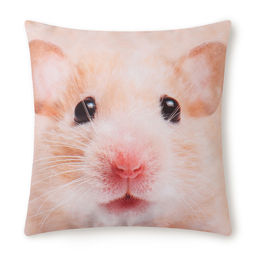 Подушка декоративная Этель Хомячок 40х40 см, габардин, 100% п/э