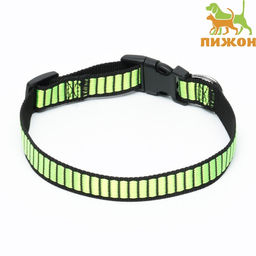 Ошейник Риф, ширина 2 см, зелёный