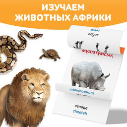 Книга по методике Г. Домана Животные Африки, на казахском языке - Буква-Ленд фото 3
