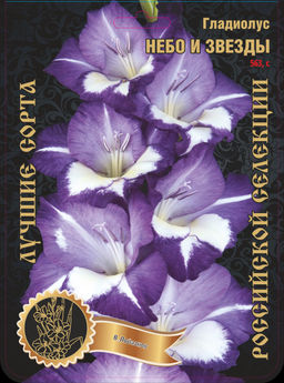 Гладиолус Небо и Звезды 485,Лобазнов Экстра 7шт (Ф) Гладиолус Небо и Звезды 485,Лобазнов Экстра 7шт (Ф)