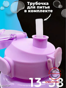 Набор из бутылки и термоса