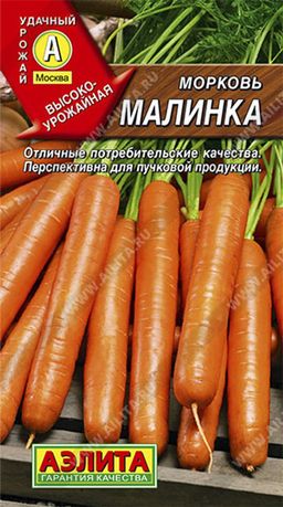 Морковь Малинка ® - Аэлита фото 2