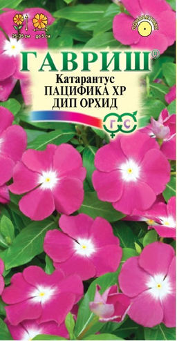 Катарантус Пацифика ХР Дип Орхид 5шт (г) серия Элитная клумба