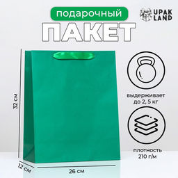 Пакет подарочный ламинированный «Зелёный», 26×32×12 см