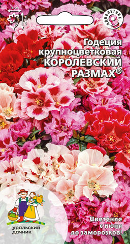 Годеция КОРОЛЕВСКИЙ РАЗМАХ