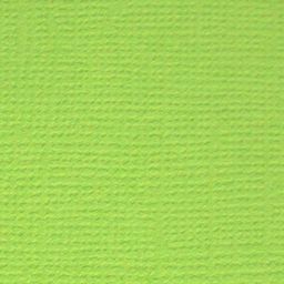 Бумага для скрапбукинга "Mr.Painter" PST 216 г/кв.м 30.5 x 30.5 см 10 шт.