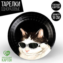 Цена за 10 шт. Тарелка бумажная Котик, 18 см