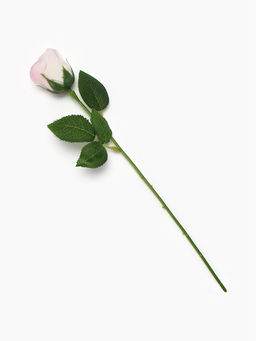 Цена за 2 шт. Дымная мыльная телесная роза - SB BEAUTY фото 3