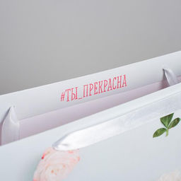 Цена за 2 шт. Пакет подарочный ламинированный, упаковка, «Ты прекрасна», ML 23 х 27 х 11.5 см