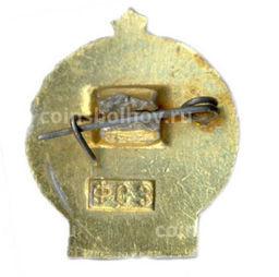 Значок Турист СССР