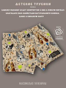 Комплект трусов для мальчика 3 шт. dff Тр 3000/11,14,17 Размер 32 - Sergio valentini фото 5