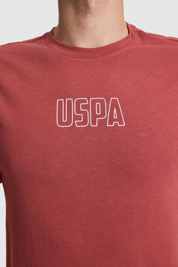 Erkek Vi_ne Regular Fit Bisiklet Yaka Ti__rt - U.s. polo assn фото 6