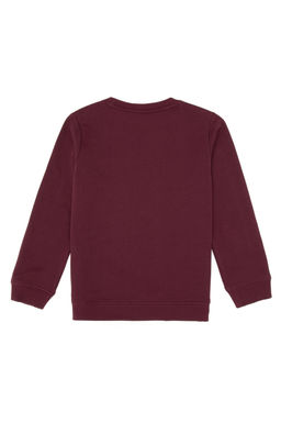 Erkek _ocuk Bordo Basic Bisiklet Yaka Sweatshirt Sepette S_rpriz _ndirim - U.s. polo assn фото 2