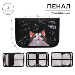 Пенал школьный, 3 секции, 14×21×4 см «Умный кот»