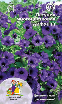 Петуния ТАЙФУН F1 Многоцветковая!