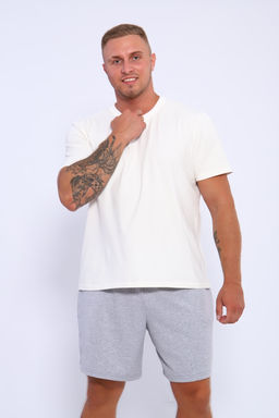 Шорты мужские 35336