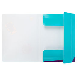 Лео Учись Папка на резинке A4 LRF-06 450 мкм 35 мм песок 5 шт. 02-Коты