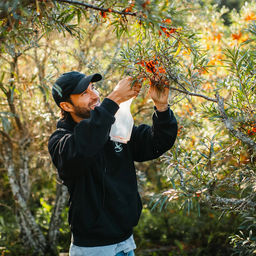 Марья (Maria) Комбайн (контейнер) плодосборник для облепихи, 32х8х8см, пластик/нерж., цвет белый, на картоне (Китай) - Домашняя мода фото 2